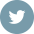 twitter icon